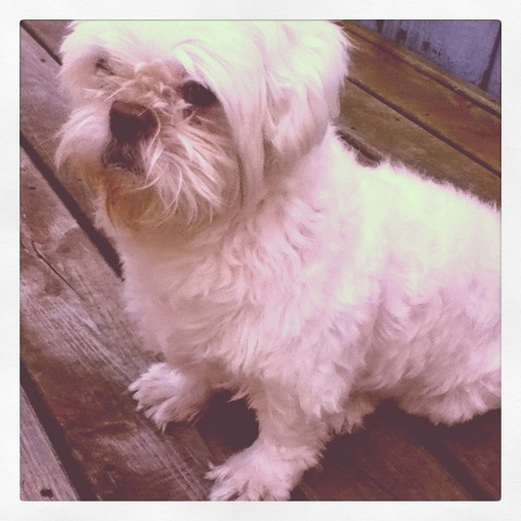 De Mayo cuatro, doce mil cinco.