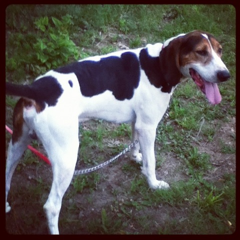 De septeimbre veinte y dos, dos mil trece.