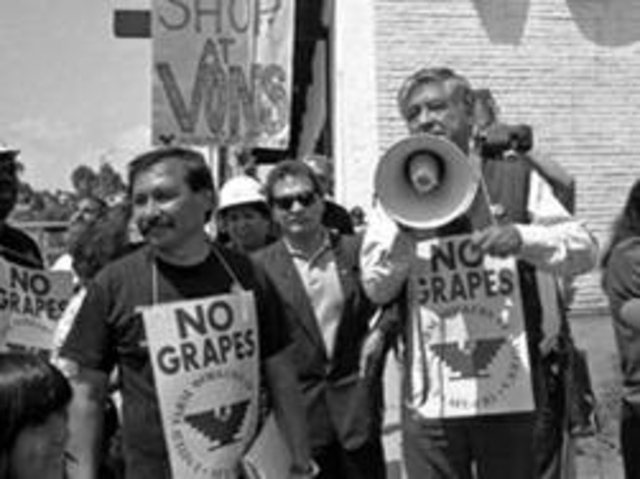 Grape Boycott