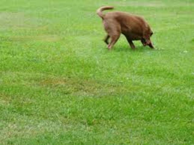 El tres de abril de dos mil catorce
