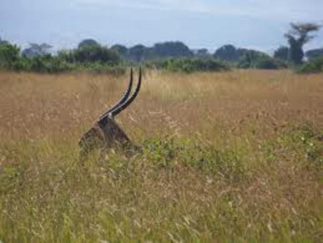 marzo deiziseite de dos mil tweleve
