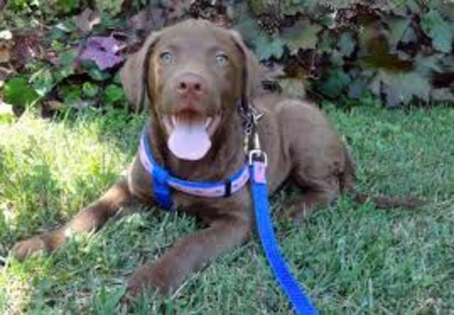 El diez de abril de dos mil catorce