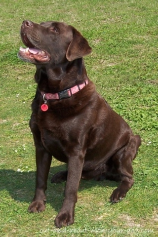 es el catorce de Mayo