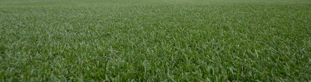 Marked the Spot for Our Body Farm.