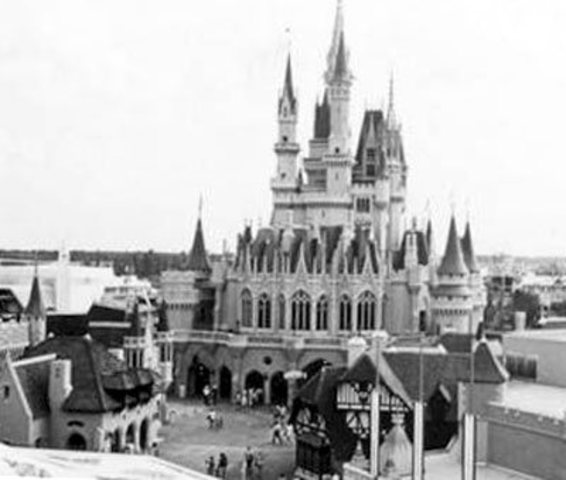 Disney World Opened for Imigantion