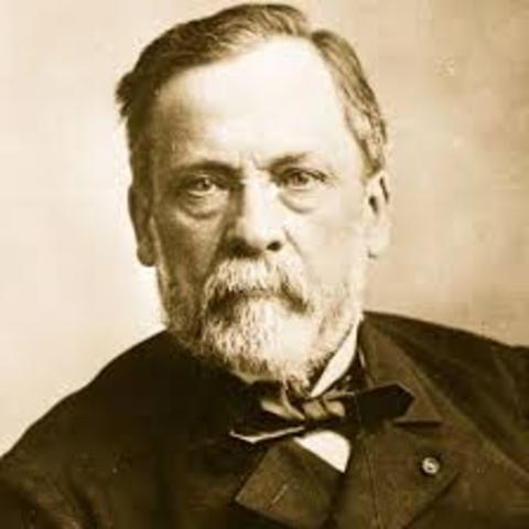 Pasteur