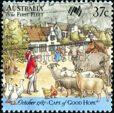 4th Stop: Table Bay: Cape of Good Hope