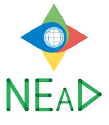 Criação do NEaD - UFERSA