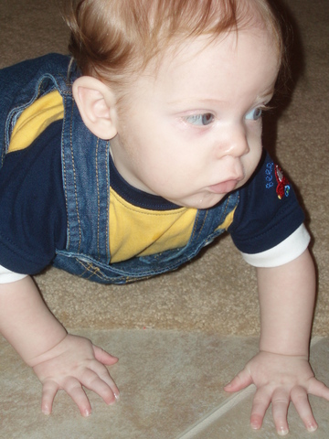 Learned to crawl