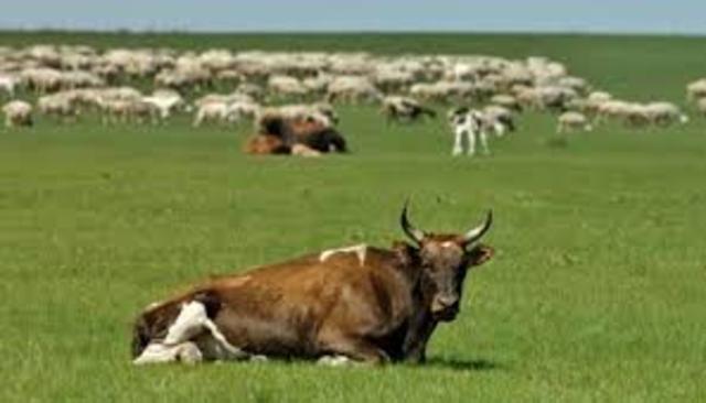 FACTORY FARMING ILLEGAL