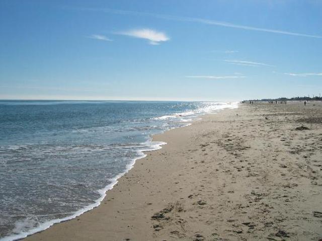 First Recorded Beauty Contest