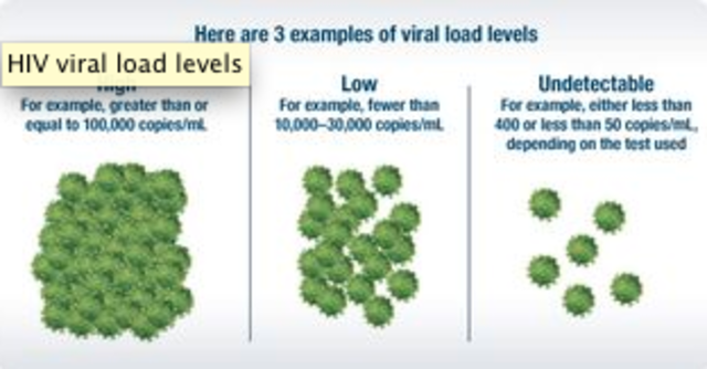 Viral load test