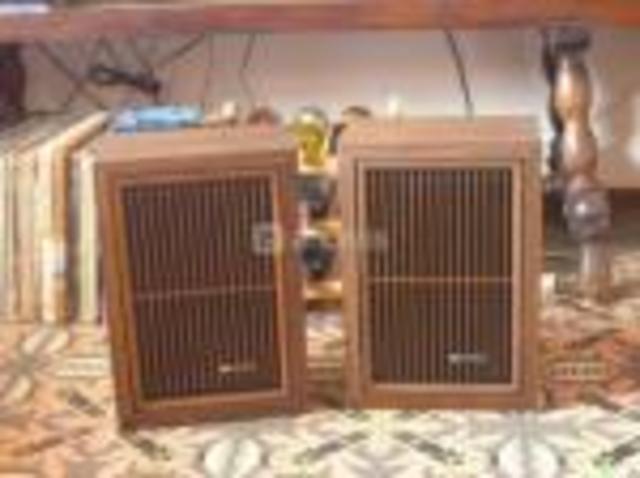 Altavoces de dos vias