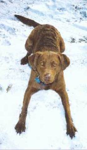 El catorce de abril de dos mil catorce