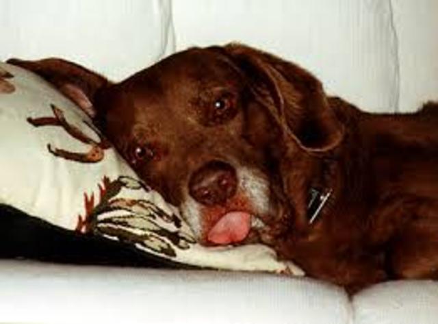 El veinte y dos de abril de dos mil catorce