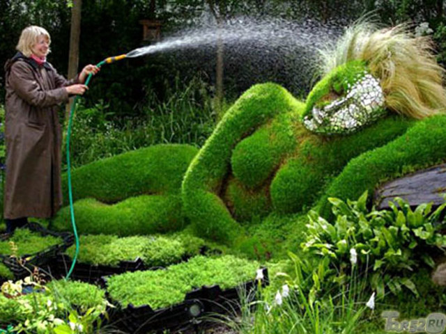 Фестиваль цветов в Великобритании, Челси