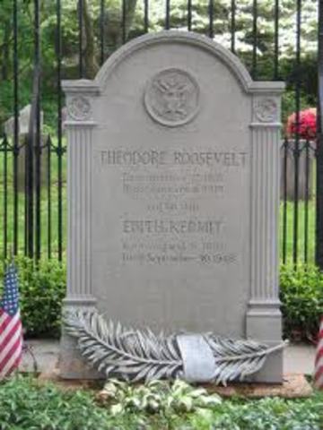 Theodores death