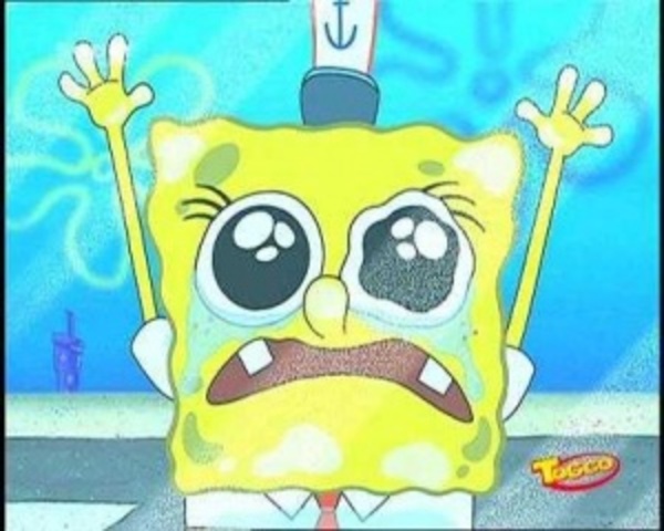 El once de Noviembre de dos mil trece