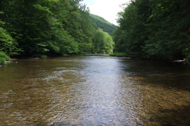 Elijah Clark Kettle Creek