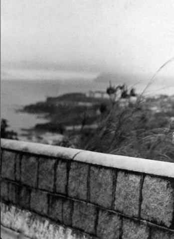 Royal rifles Retreat to Stanley..