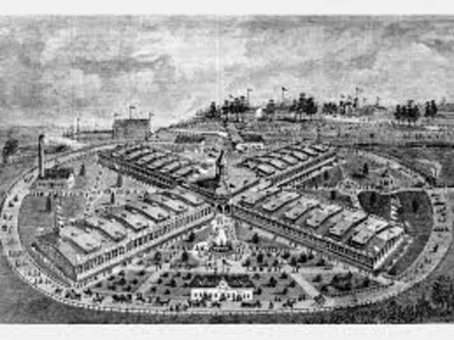 international cotton expo