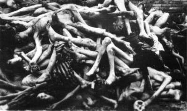 Holocaust
