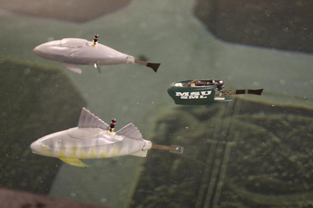 Robotic Fish