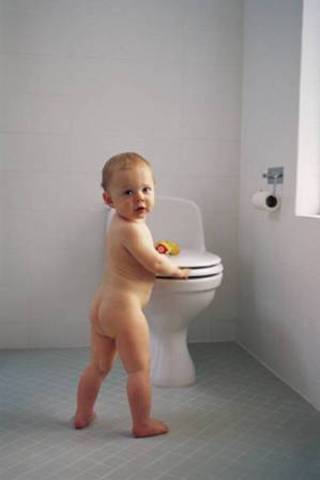 potty trained