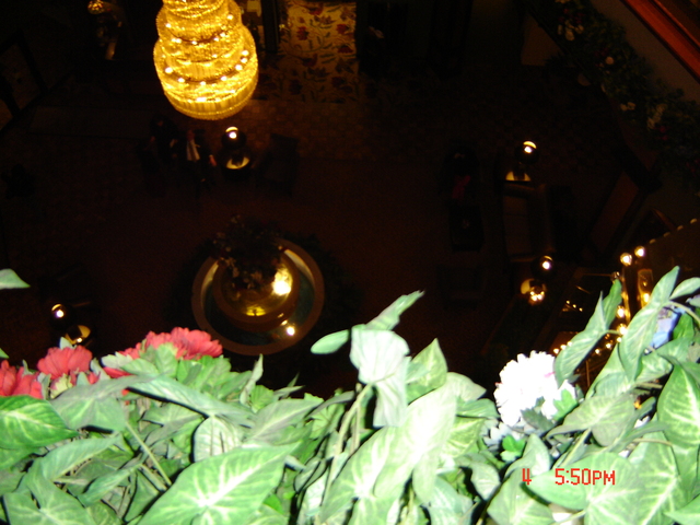 Baby Sister was Born