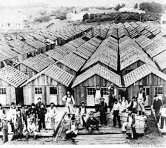 Refugees and Dislocated Persons