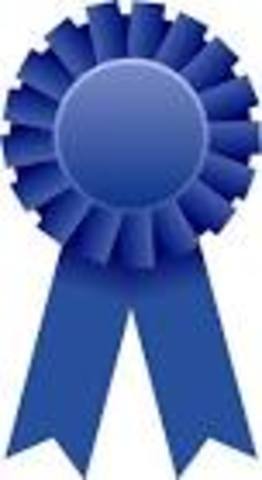 Won the Teen Choice Award