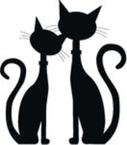 simba tengo un amigo