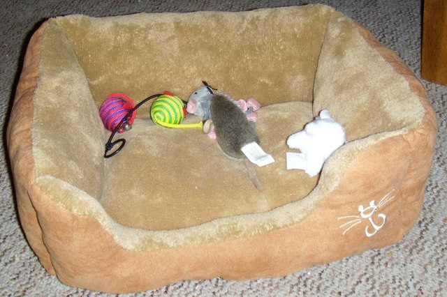 primero navidad de simba con mi familia