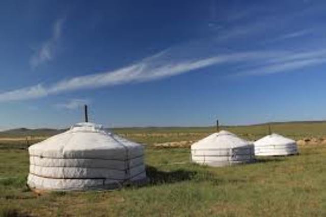 Nomadic Herding in Mongolia