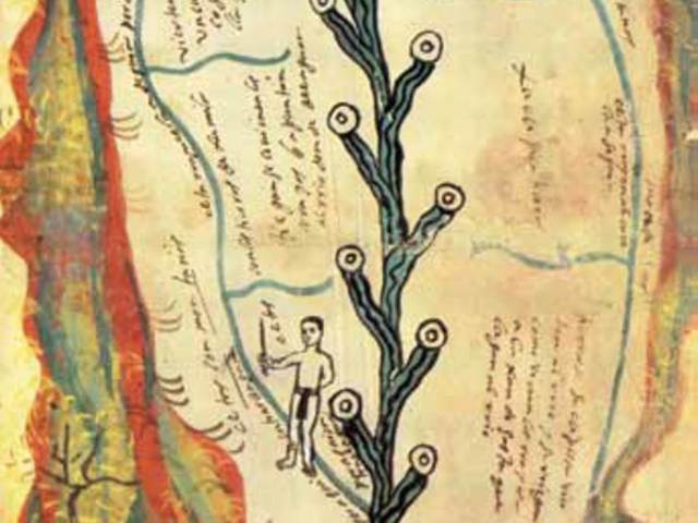 Plano de la vega irrigada de Tlalcosautitlan, Chilapa, Guerrero, siglo XVI