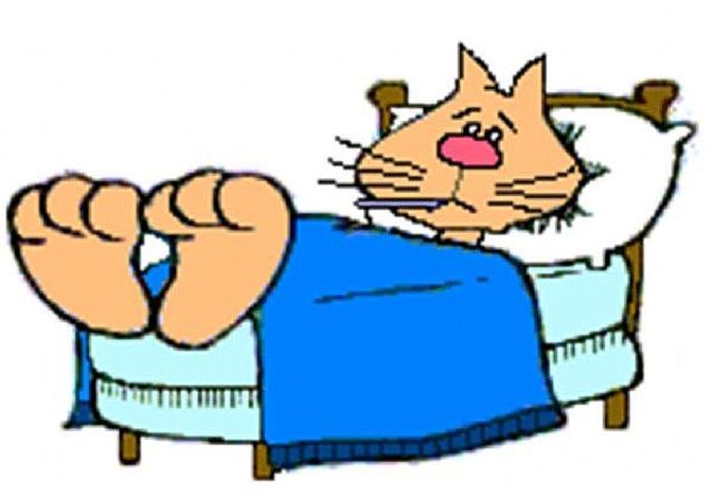 simba era enfermo otra vez....