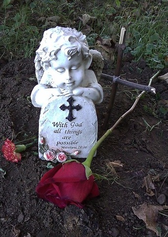 simba muerto en mi cumpleaños