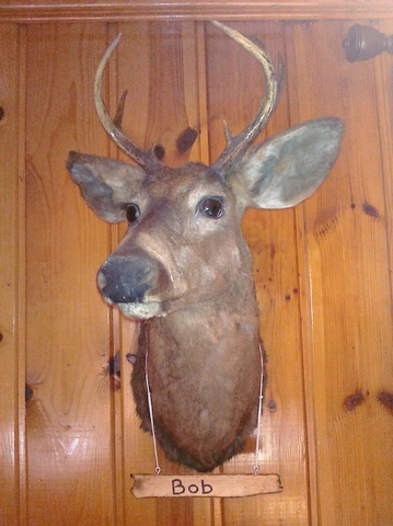 Birth of Brian Degnore