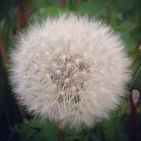 Instagram has 10 million users