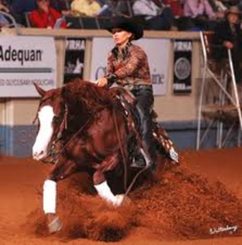 First horse competition