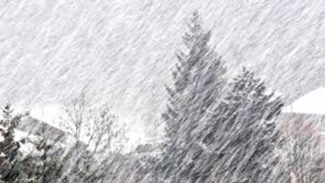 crabbe gets stuck in a blizzard