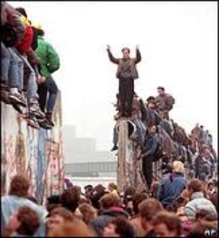 Berlin Wall collapses