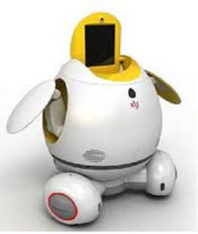 Educational Robot