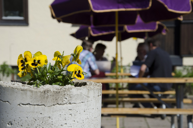 Seminarium Torrekulla