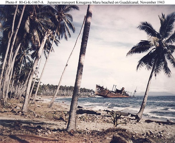 Battle of Guadalcanal