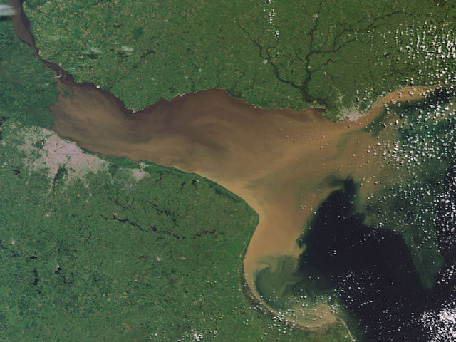 Preliminares de la expedición