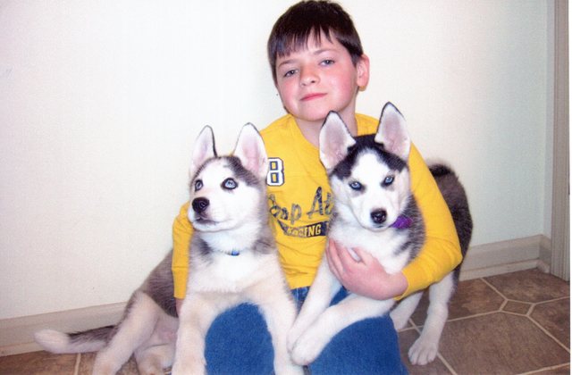 Obteniendo a Nuestros Perros