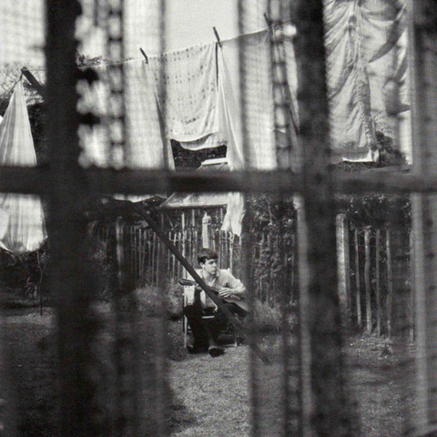 Chaos and Creation in the Backyard