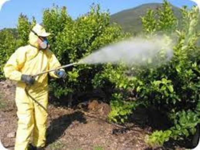 Decreto 1443 de 2004