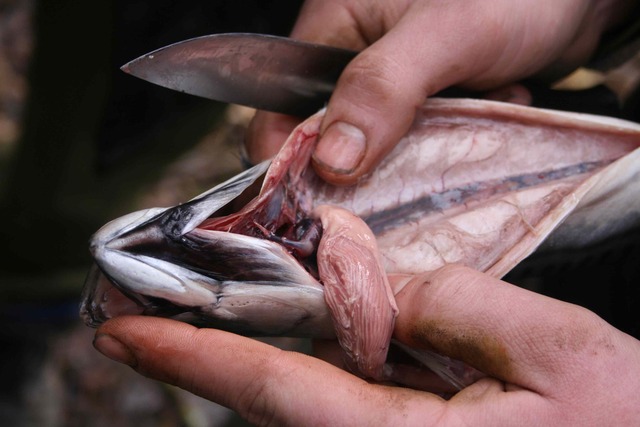 Mary teaches Crabbe survival skills